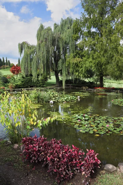 El estanque y las flores — Foto de Stock