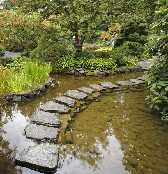 Japon Bahçesi. — Stok fotoğraf