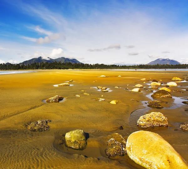 Pedras na praia — Fotografia de Stock