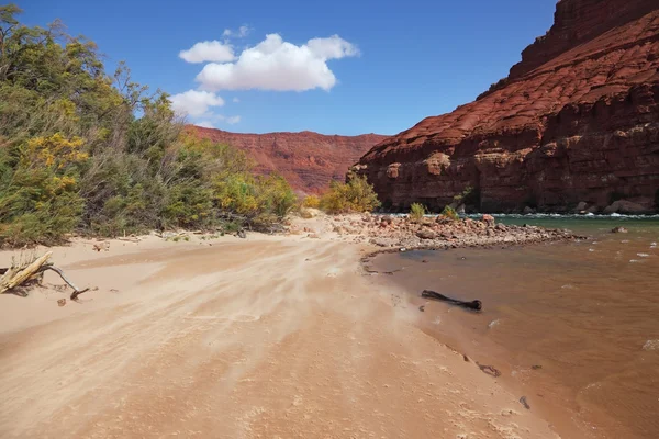 Wilde rivier colorado — Stockfoto