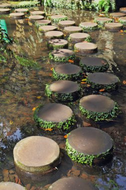 bir su birikintisi ahşap taslakları üzerinden bir yol