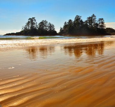 Montana state büyük alanlar