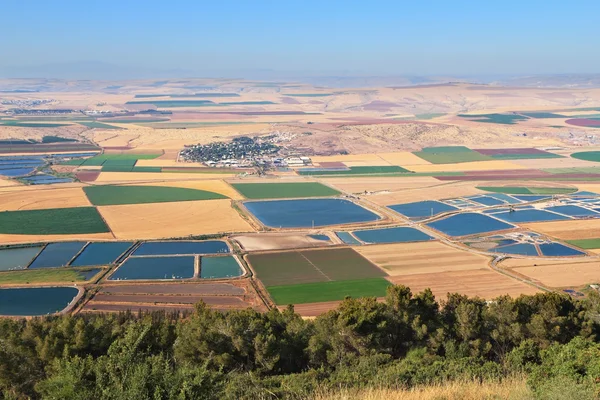 Picturesque squares colored fields — Stock Photo, Image