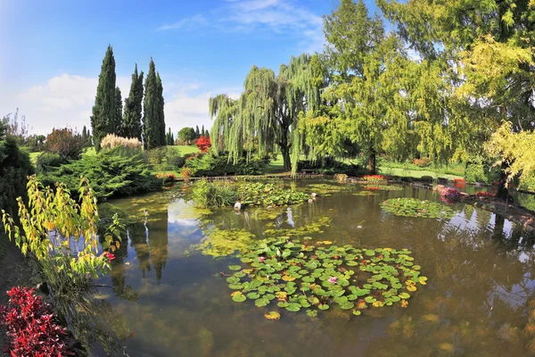 El estanque rodeado de arbustos verdes —  Fotos de Stock