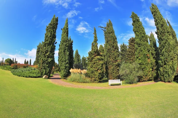 Lindo gramado em um parque — Fotografia de Stock