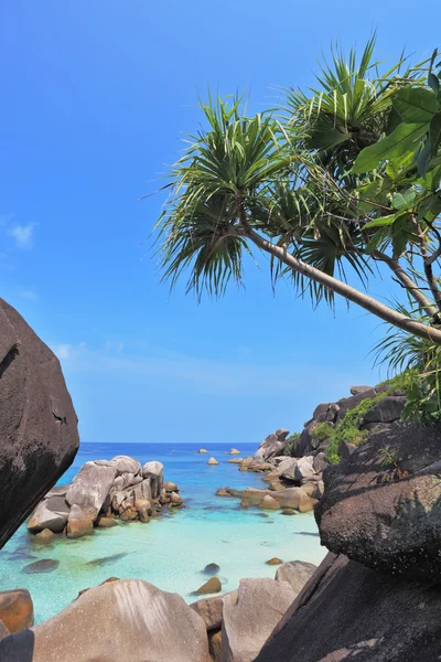 Playa más fina entre acantilados negros y agua azul — Foto de Stock