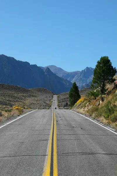 Великая американская дорога идет по пустыне — стоковое фото