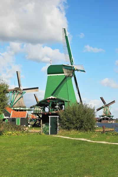 Три вітряки та фермерські будинки на зеленому лузі — стокове фото