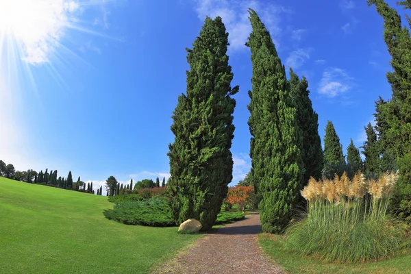 Comfortable walking path. Photo taken fisheye lens — Stock Photo, Image