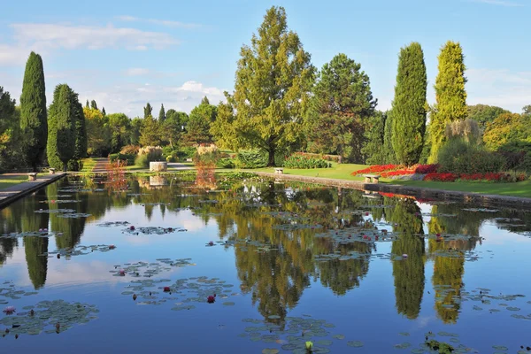 El estanque refleja cipreses costeros — Foto de Stock