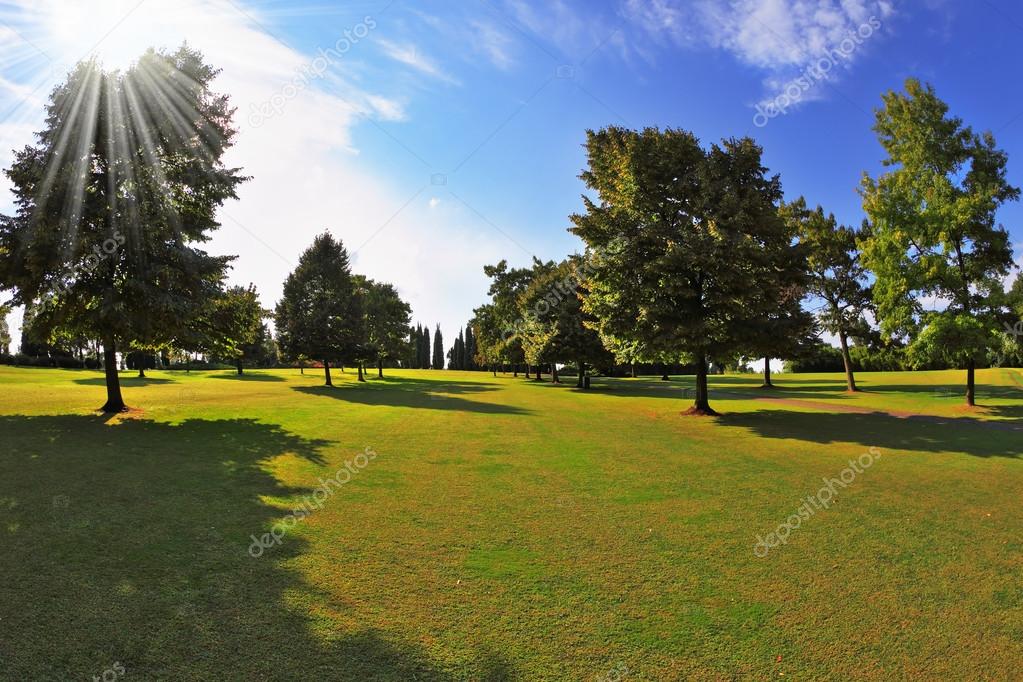 hermoso césped verde al atardecer — Fotos de Stock © kavramm #28168449