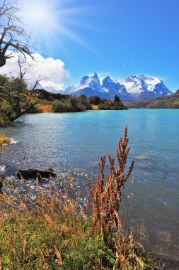 görkemli Milli Parkı torres del paine, Şili.