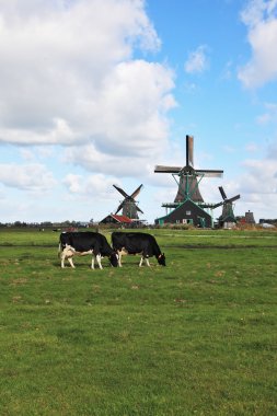 büyüleyici pastoral