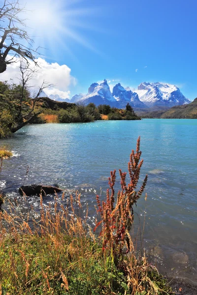 Parco nazionale maestoso Torres del Paine, Cile . — Foto Stock