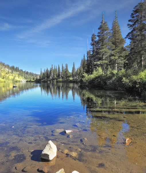 En el agua refleja bosques de coníferas — Foto de Stock