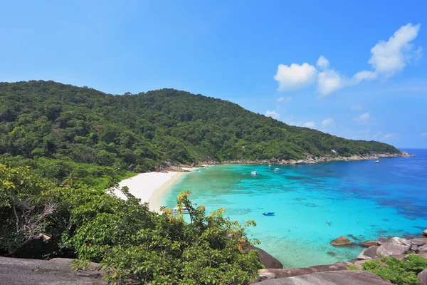 Der dichte grüne Wald am Ufer der blauen Lagune — Stockfoto