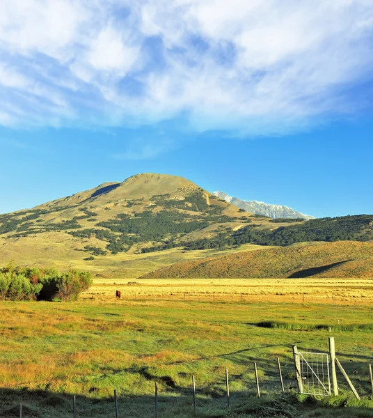 En la zona vallada del valle pastan las vacas — Foto de Stock