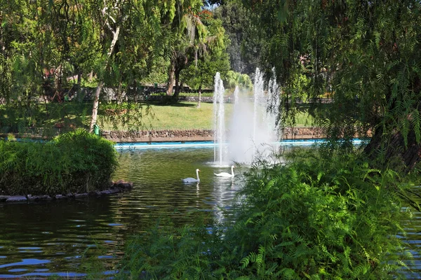 Чудовий парк на острові — стокове фото