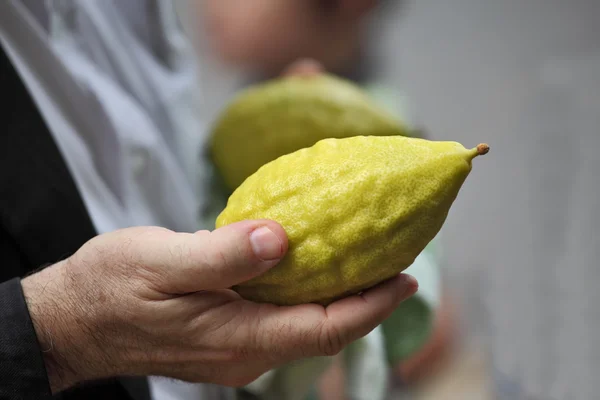 Belas mãos grandes segurar um Citron ritual — Fotografia de Stock