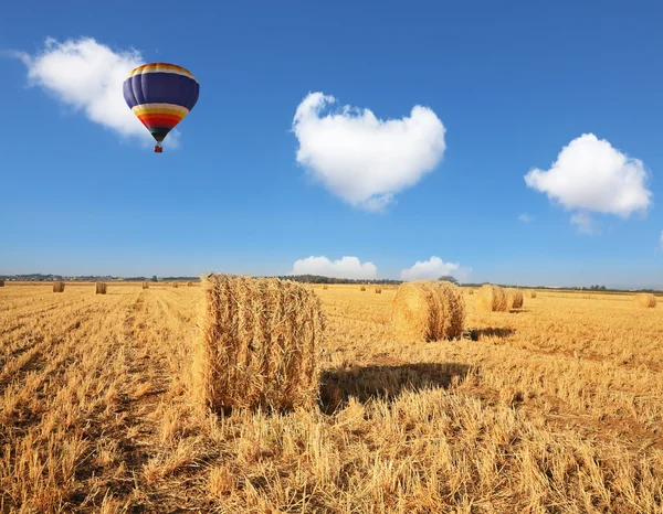 Kırmızı ve mavi balon — Stok fotoğraf