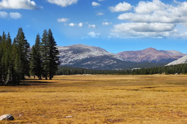 A quiet part of Yosemite Park — Stock Photo, Image