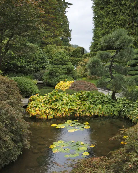 Le ruisseau, petite île avec une herbe et des buissons — Photo