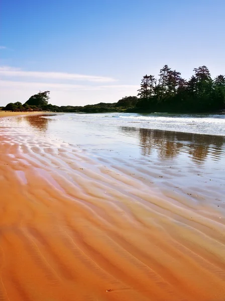 La plage de l'île de Vancouver au Canada — Photo