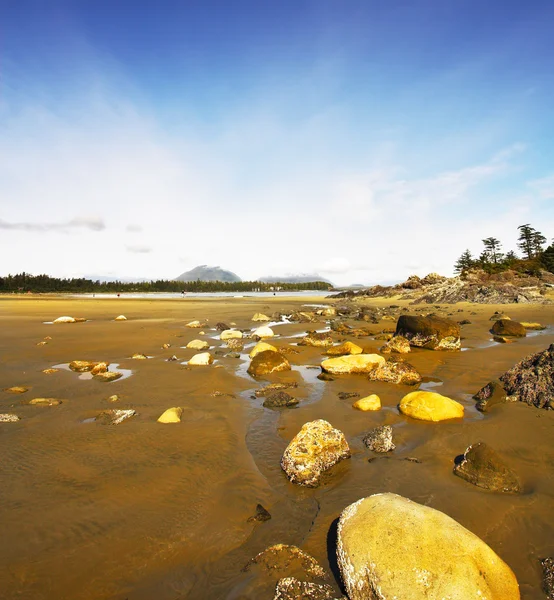 Камни на песчаном пляже — стоковое фото