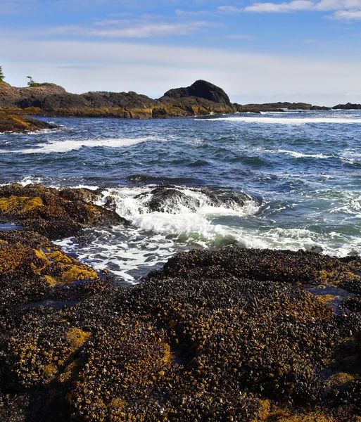 's avonds surf op de westelijke kust van canada Stockfoto