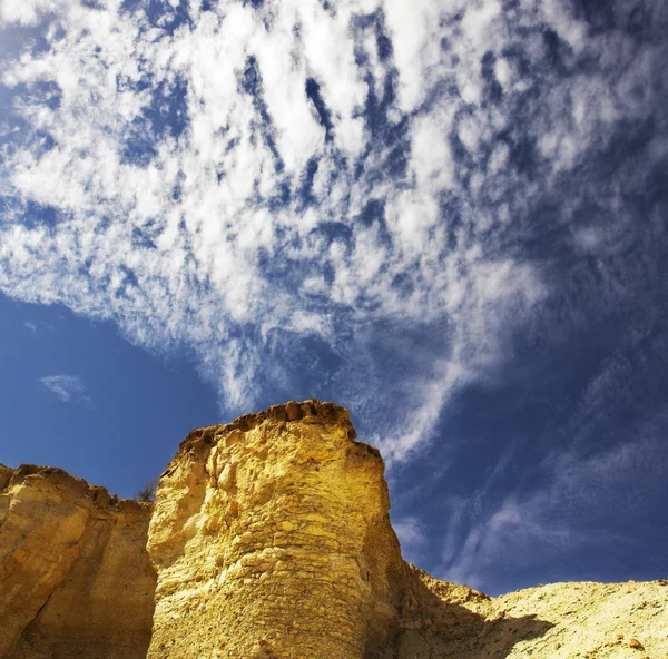 Deserto de pedra perto do desfiladeiro En-Avdat — Fotografia de Stock
