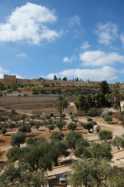 Golden gate Kudüs'te