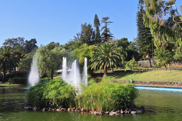 Sunny day in the park — Stock Photo, Image