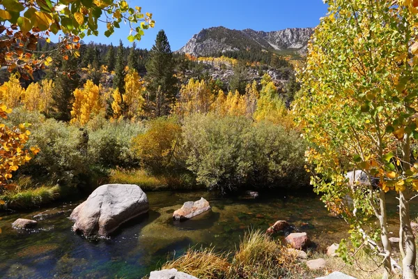 Charming stream — Stock Photo, Image