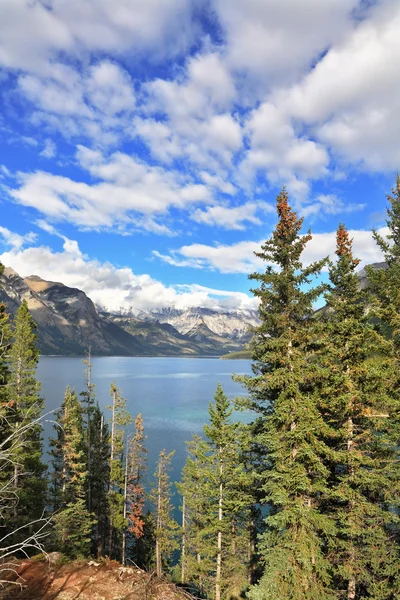 Bow lake och berget — Stockfoto