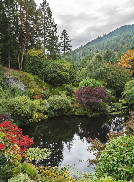 Silent pond with yellow leaves — Stock Photo, Image