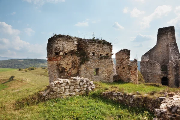 The medieval fortress in the spring — Stock Photo, Image