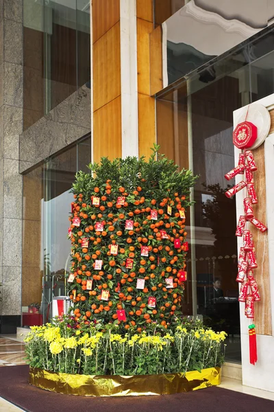 Árbol de mandarina decorado — Foto de Stock