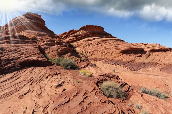 Canyon du fer à cheval — Photo