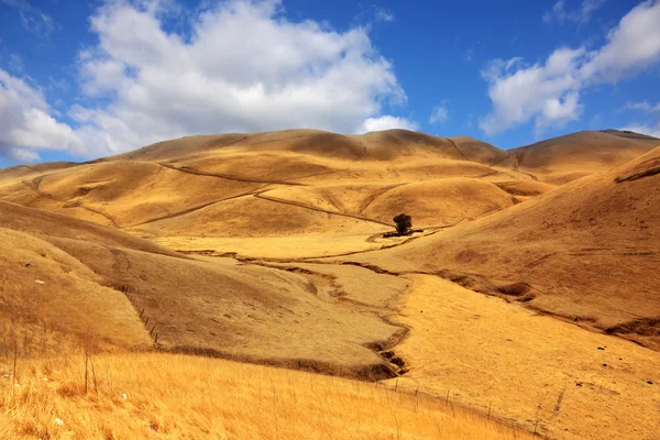 De heuvels van Californië in oktober — Stockfoto