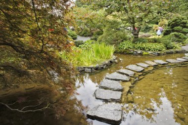 Japon bahçesi. bir akış ve yol
