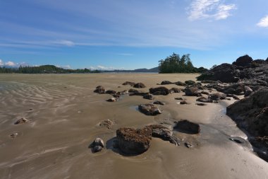Düşük tide ıslak kum ve alt taşlar ortaya koyar.
