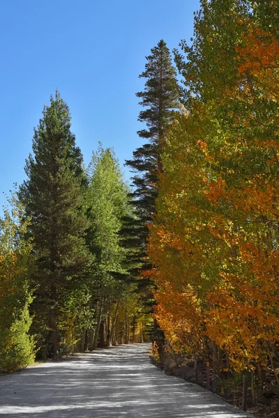 Bella strada in montagna — Foto Stock