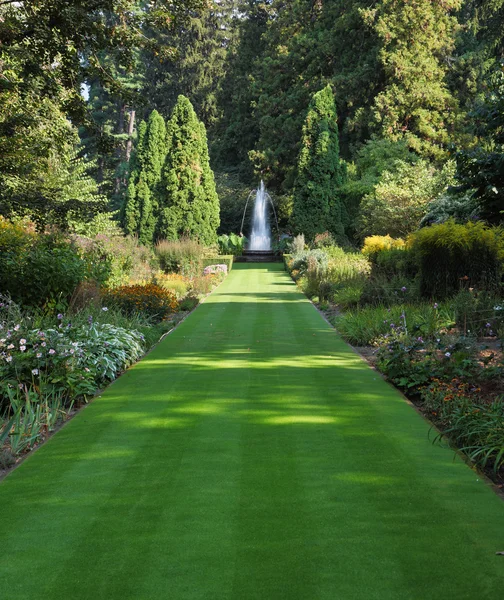 Green grass road in park — Stock Photo, Image