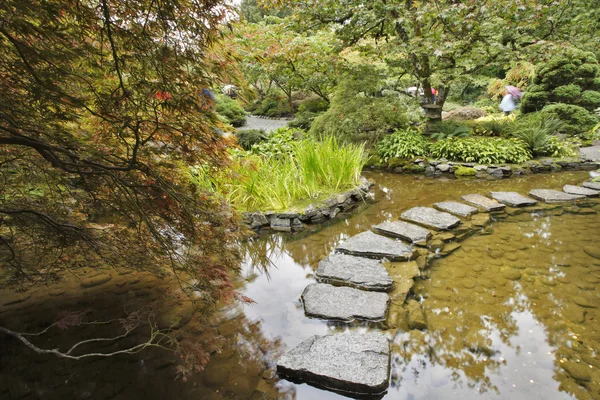 Jardín japonés. Un arroyo y un camino — Foto de Stock