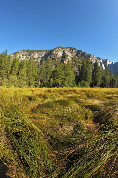 Pintoresco sitio en Yosemite —  Fotos de Stock