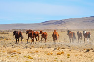 Patagonian plains clipart