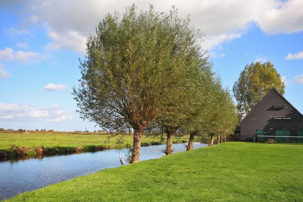 Grünes Gras und Fluss — Stockfoto