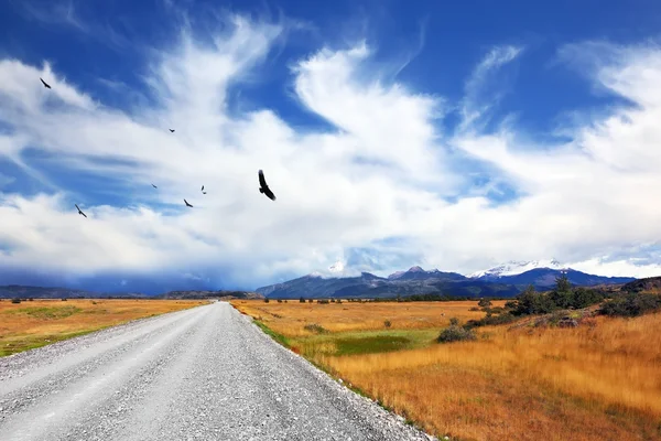 Above the dirt road Andean — Stock Photo, Image