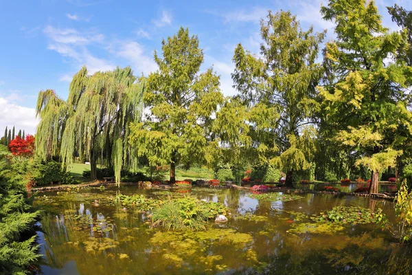 A tó, weeping willows és virágágyások — Stock Fotó