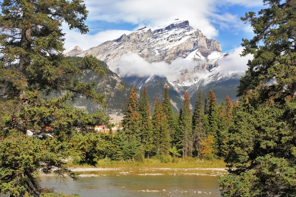 Mountains and pines — Stock Photo, Image